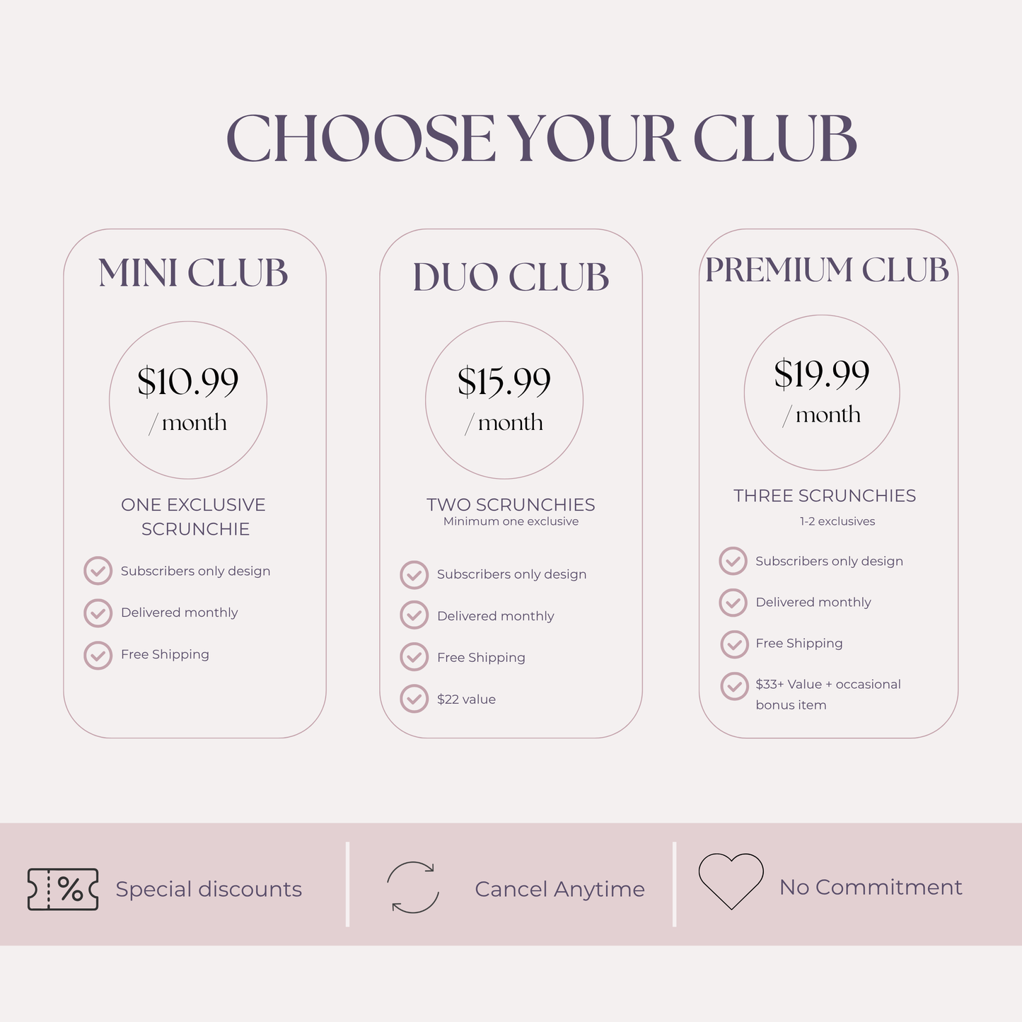 Scrunchie Club Subscription
